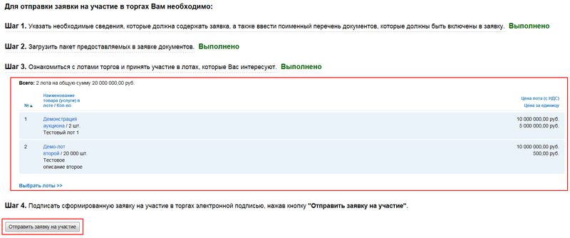 11 - Лоты для участия выбраны.png