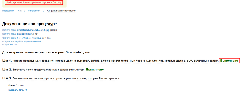 08 - Файл заявки на аукцион успешно загружен в System.png